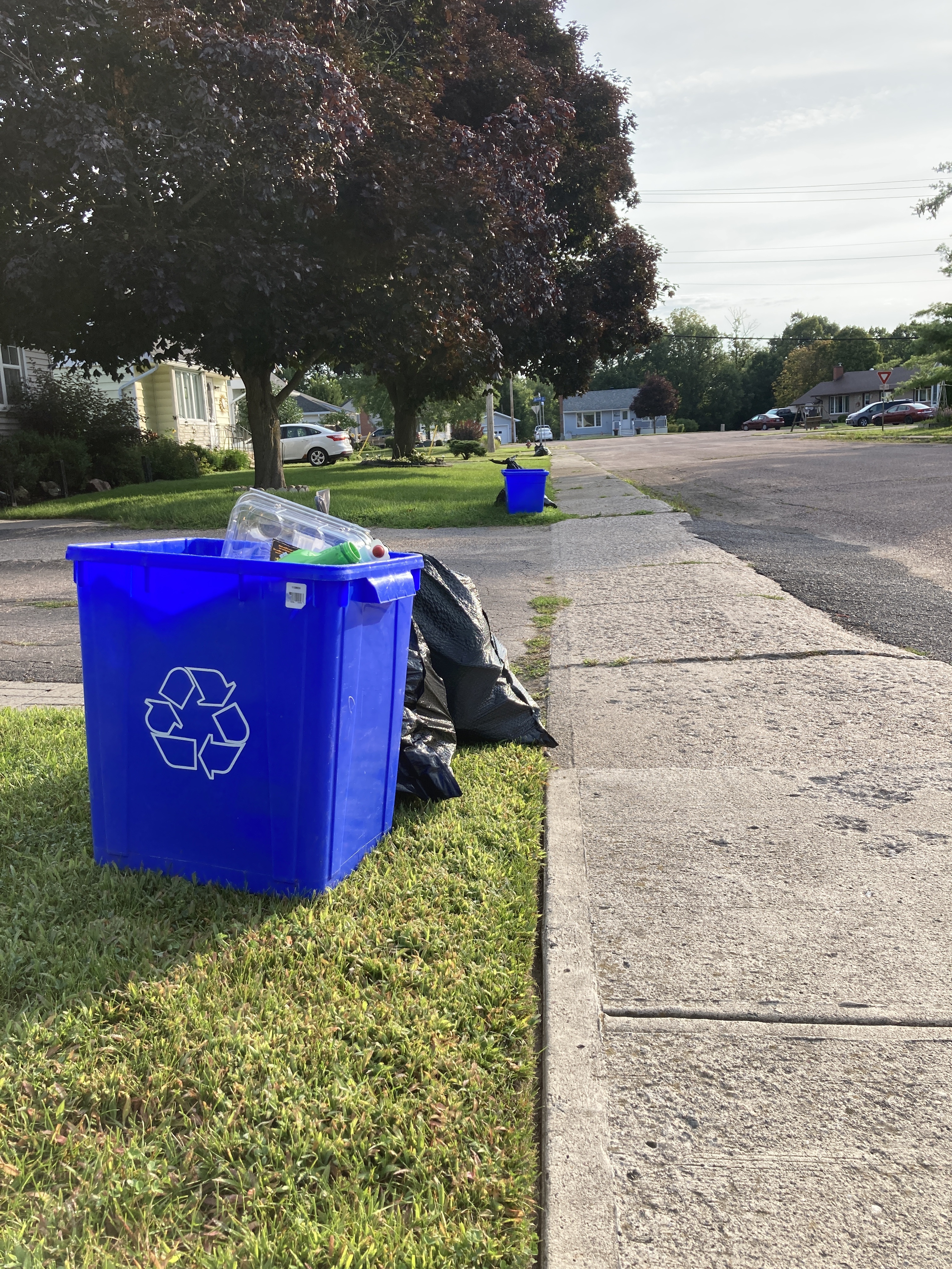How to Start an Office Recycling Program (And Why You Should) - Trash Cans  Unlimited